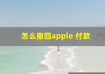 怎么撤回apple 付款